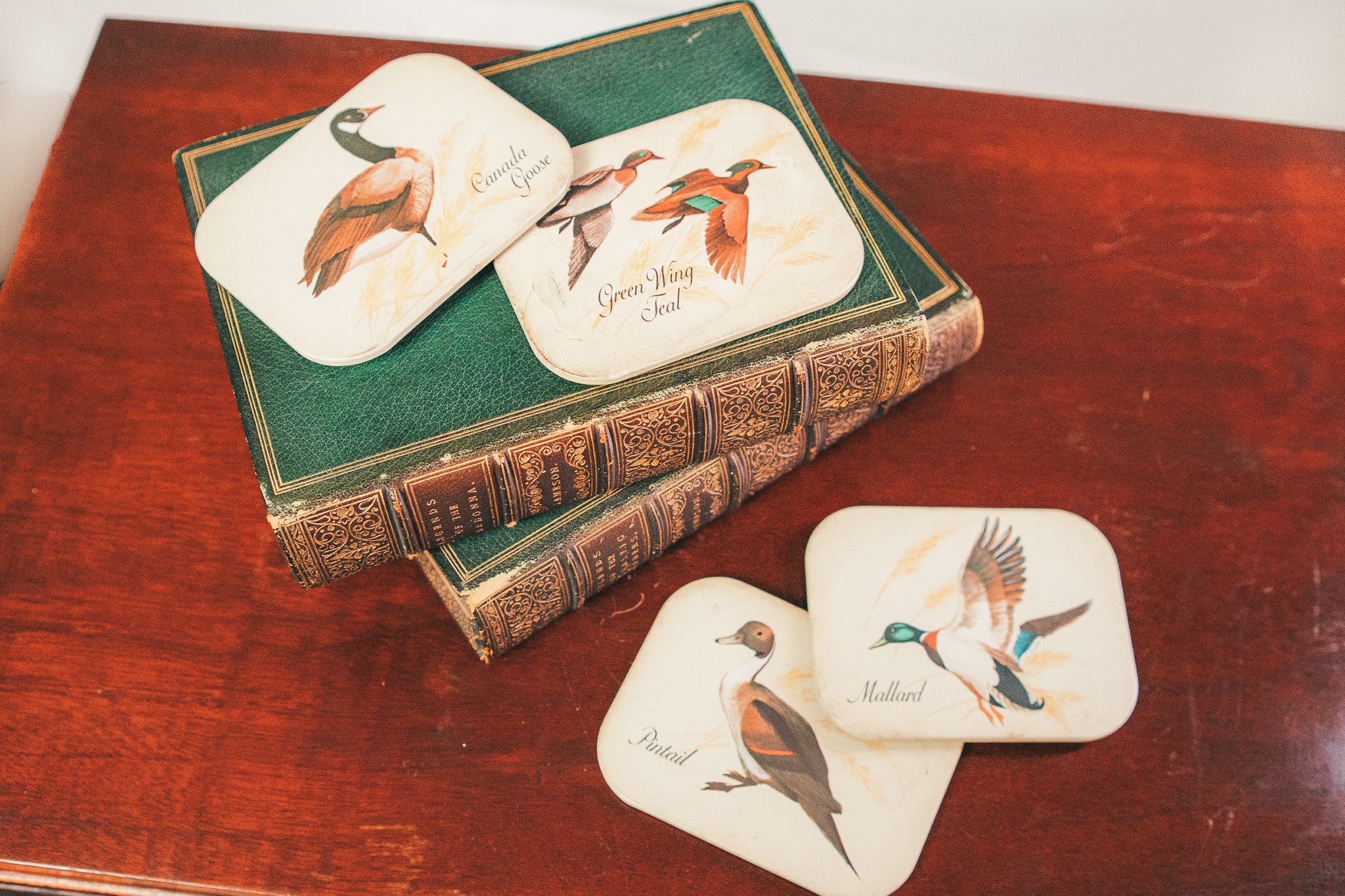 Set of bird-themed coasters in a decorative box on a wooden surface