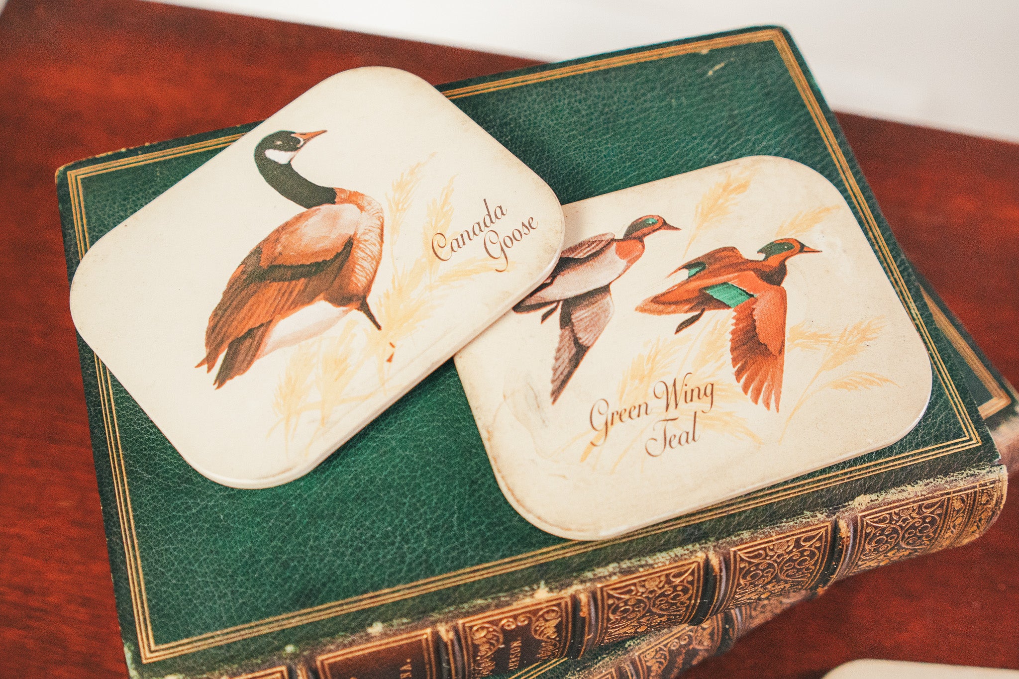 Two coasters with bird illustrations on a decorative box