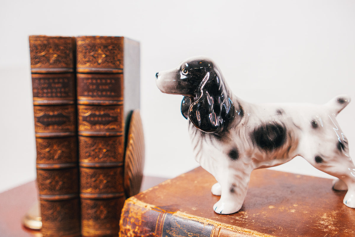 Lefton Cocker Spaniel Hand-Painted Ceramic Dog Figurine – Made in Japan