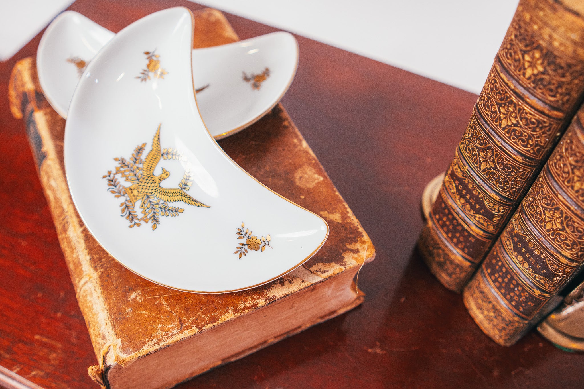 Vintage Limoges Porcelain Bone Dish (2)
