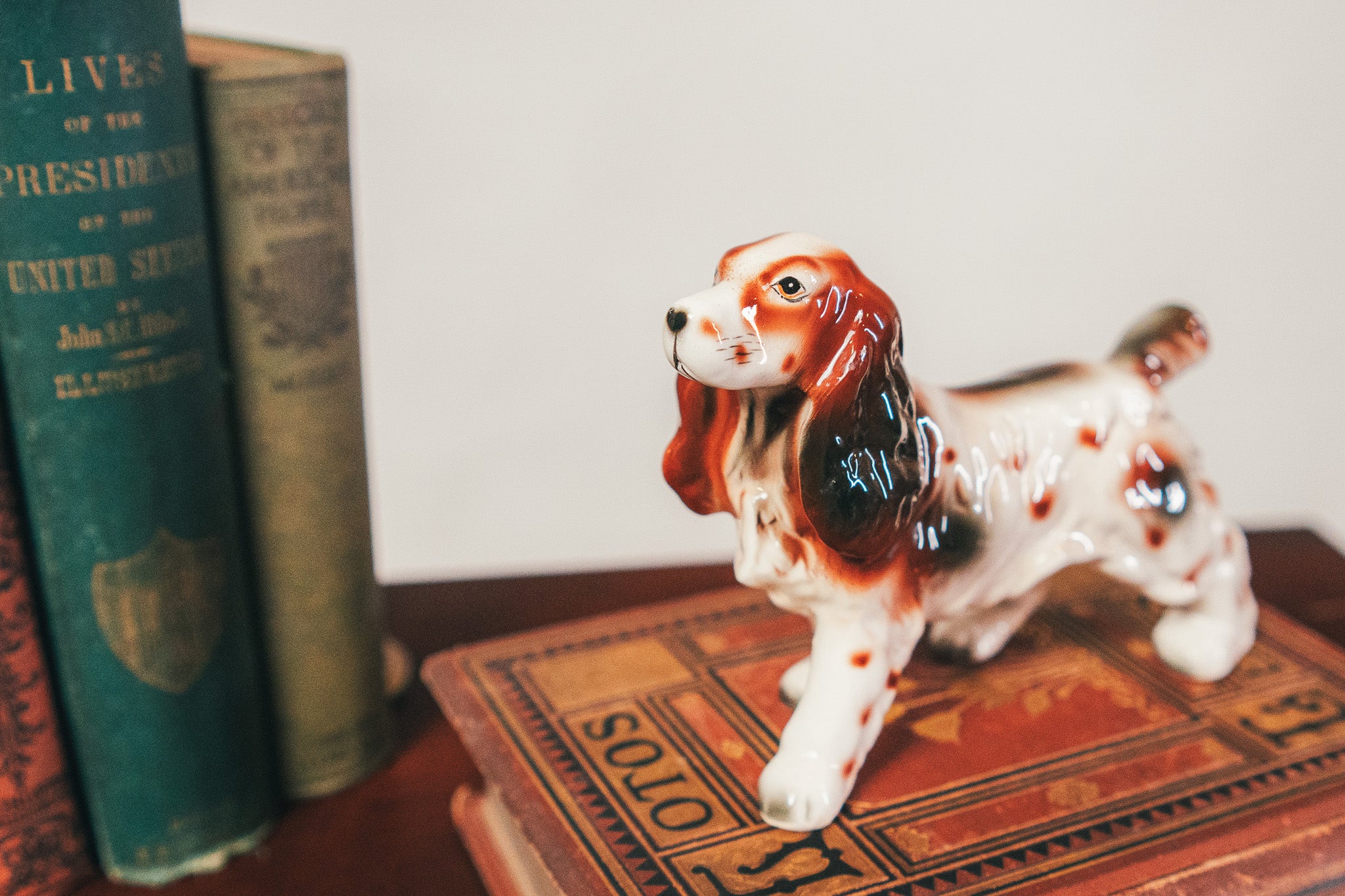 Ceramic dog figurine on an old book with vintage books in the background