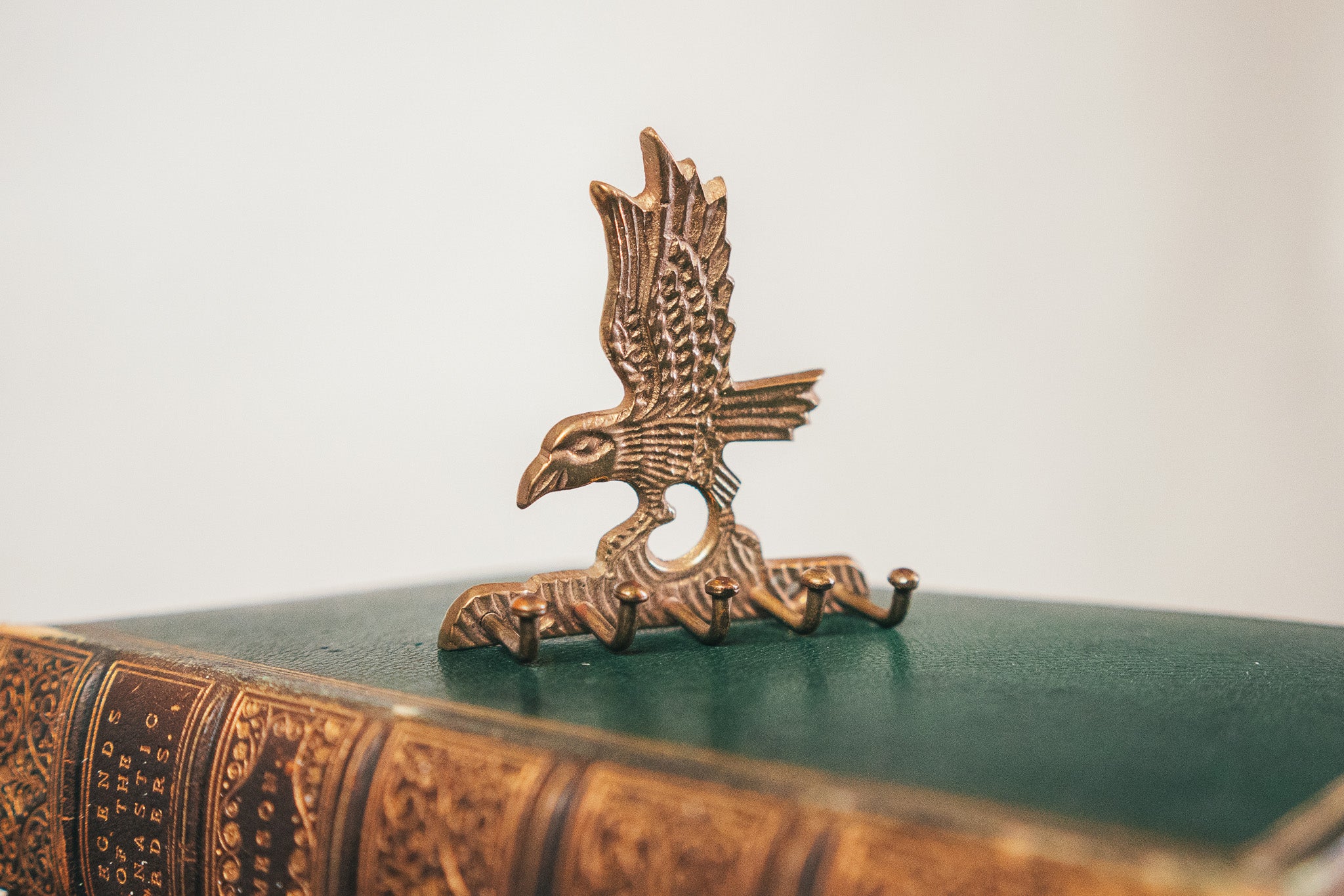 Bronze eagle emblem on an old book with a plain background