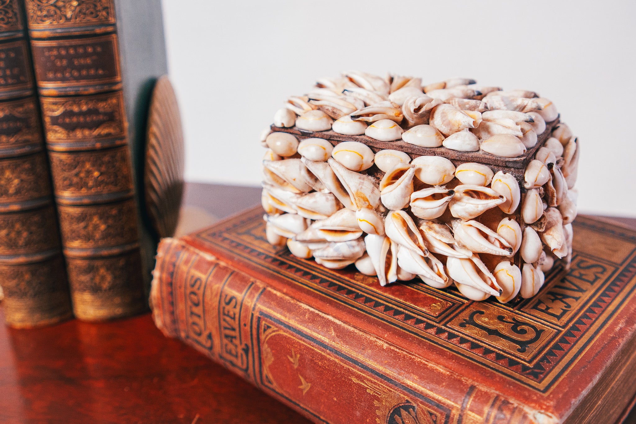 Vintage Coastal Seashell Trinket Jewelry Box